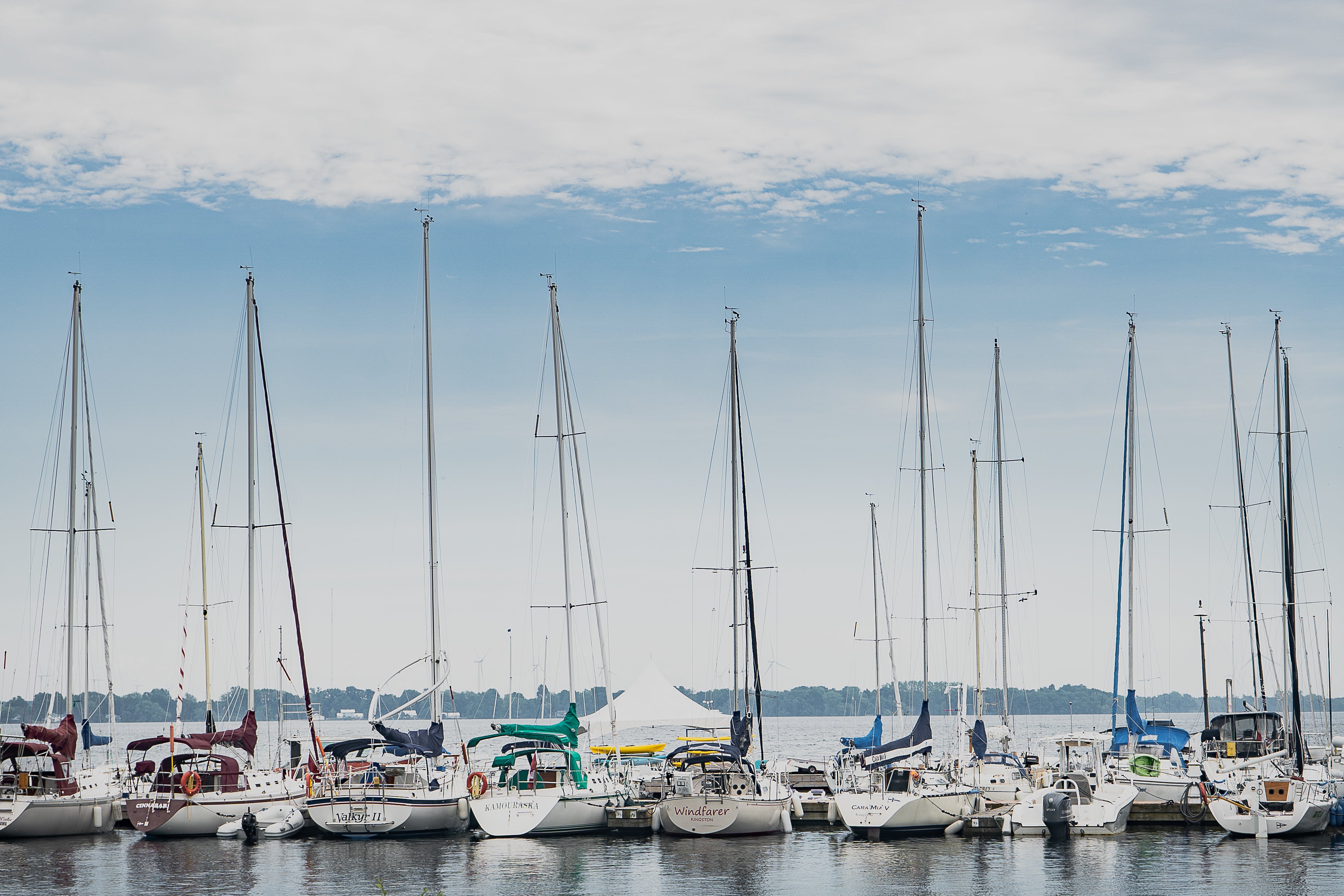 row-of-boats-docked.jpg